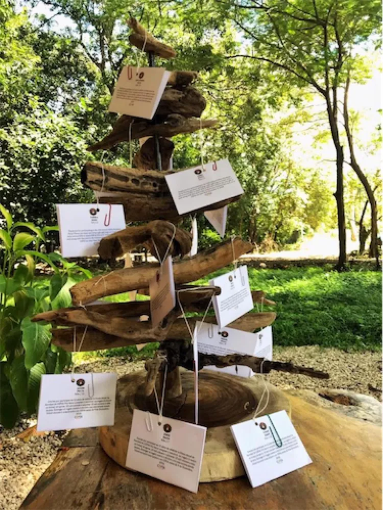 Driftwood tree decorated with paper tags in a garden